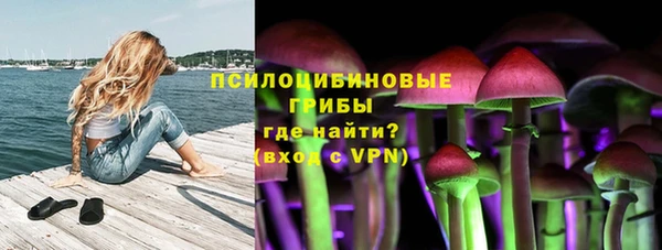 индика Дмитровск