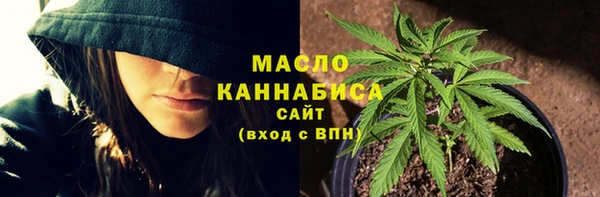 индика Дмитровск