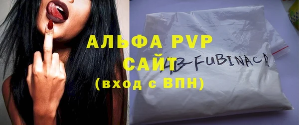 индика Дмитровск