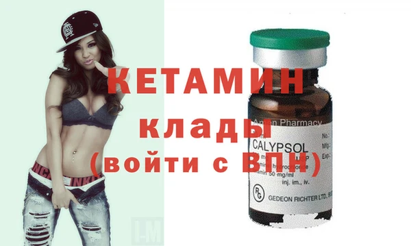 индика Дмитровск