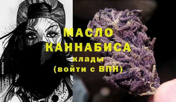 молекула духа Дмитров