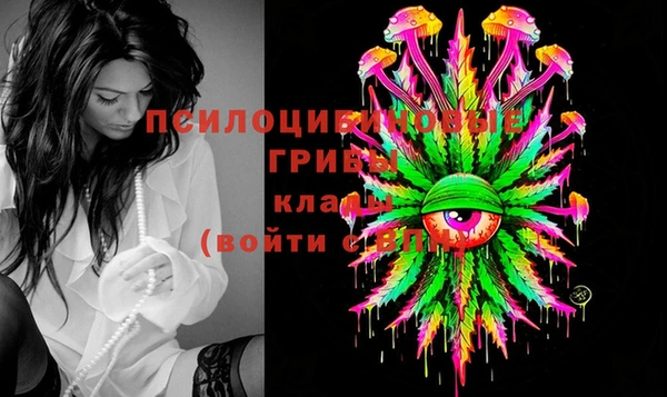 молекула духа Дмитров