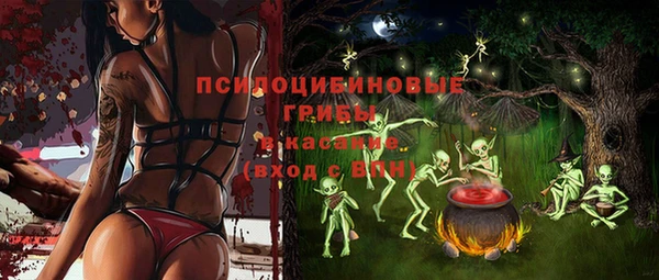 молекула духа Дмитров