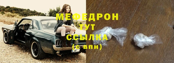 индика Дмитровск