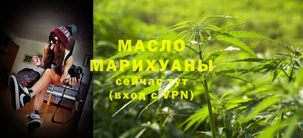 индика Дмитровск