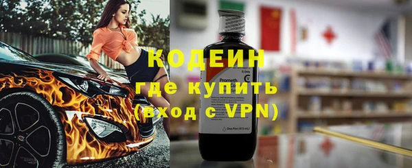 индика Дмитровск