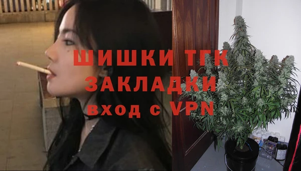 индика Дмитровск