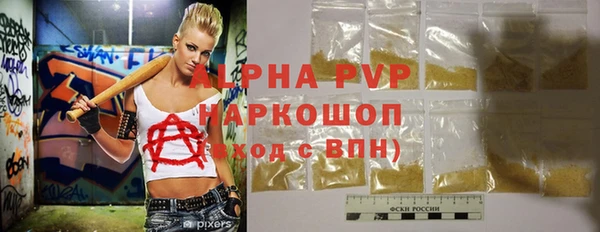 индика Дмитровск