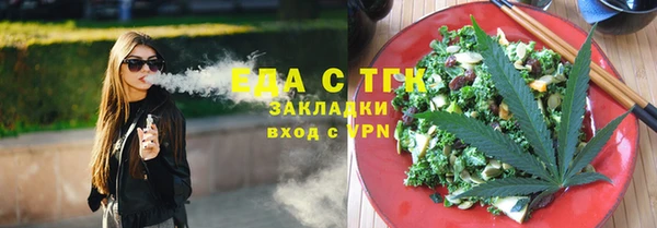индика Дмитровск