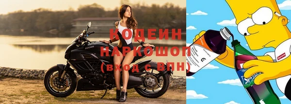 индика Дмитровск