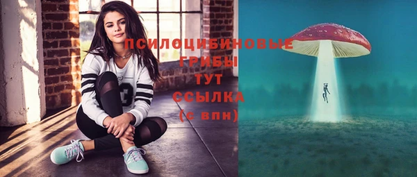 молекула духа Дмитров