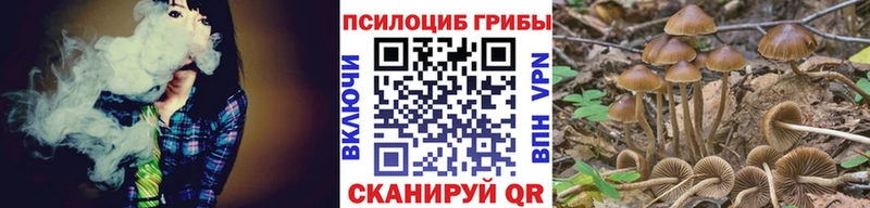 Псилоцибиновые грибы Magic Shrooms  гидра как войти  Домодедово 